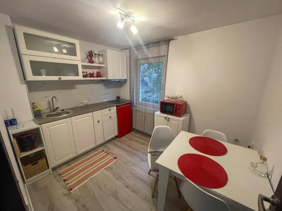 Buzz Apartment Cluj-Napoca Esterno foto