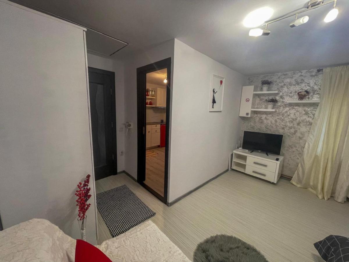 Buzz Apartment Cluj-Napoca Esterno foto