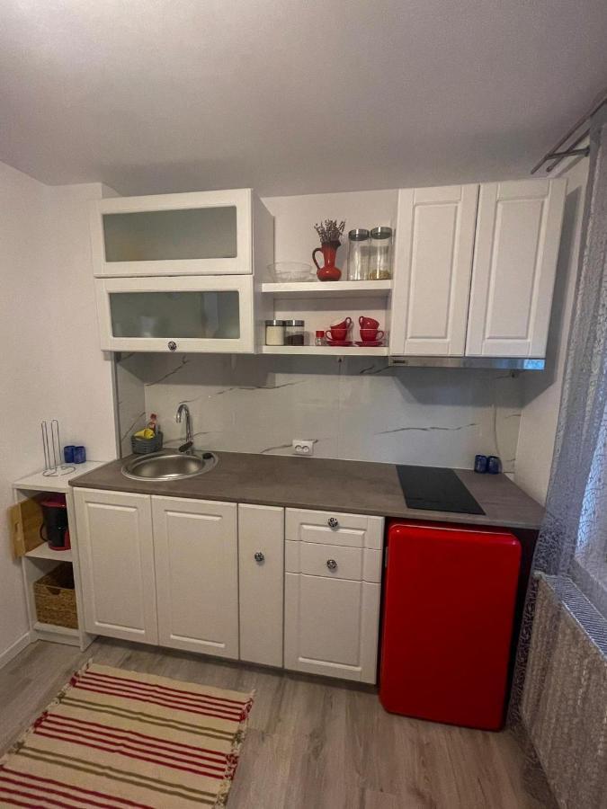 Buzz Apartment Cluj-Napoca Esterno foto