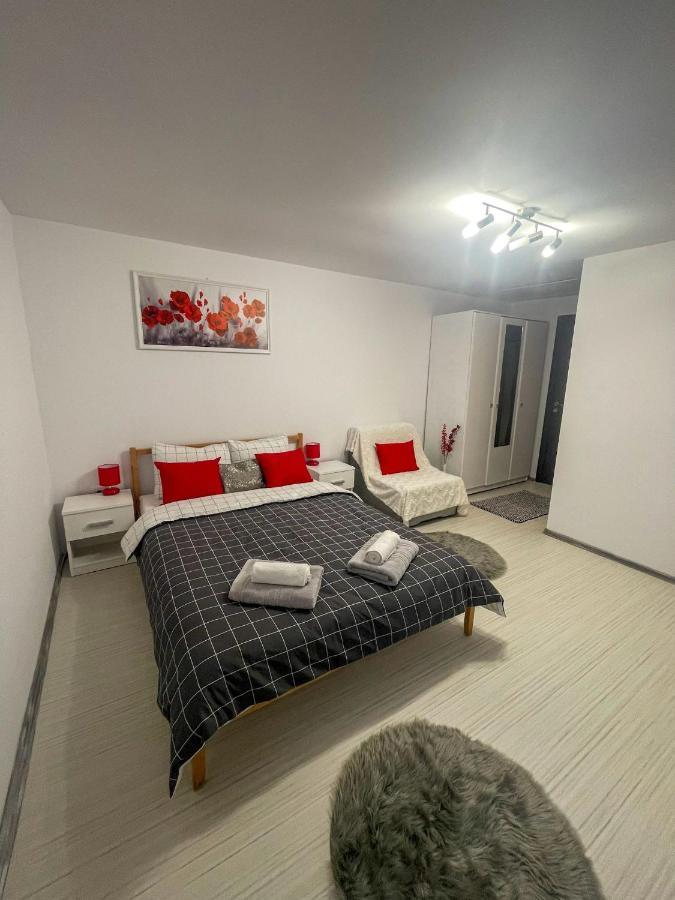 Buzz Apartment Cluj-Napoca Esterno foto
