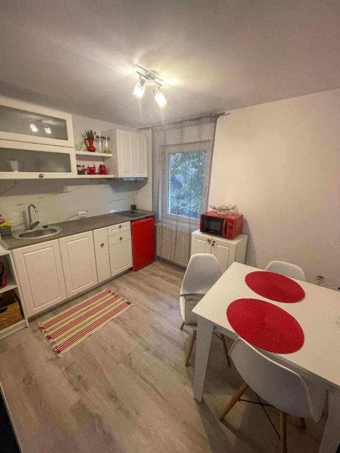 Buzz Apartment Cluj-Napoca Esterno foto